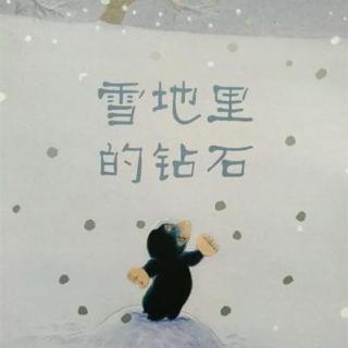 第286夜：雪地里的钻石