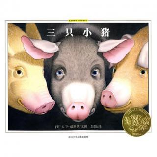【绘本故事】三只小猪