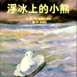 17004【浮冰上的小熊】