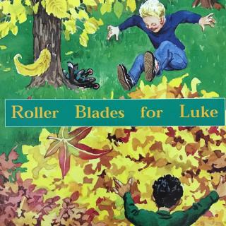 Roller blades for Luke