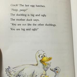 The ugly ducking2