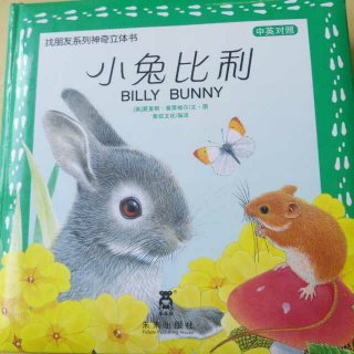 小兔比利（找朋友系列神奇立体书）
