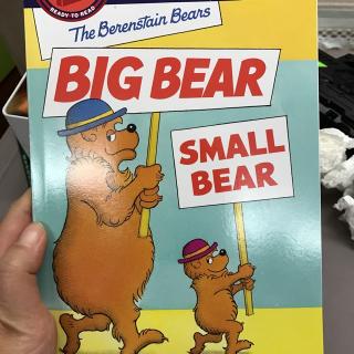 Big bear small bear