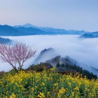 此刻我将动身去茵湖岛｜梅语岛疗愈电台｜第13期