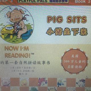 Pig sits