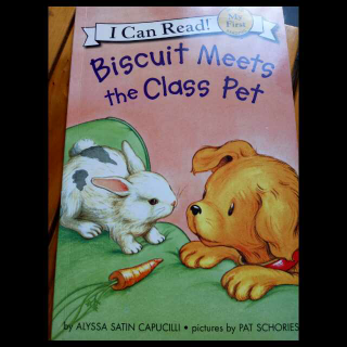 Biscuit Meets the Class Pet讲解版