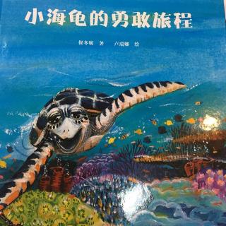 睡前故事67-《小海龟的勇敢旅程》