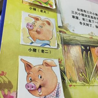 Momo哥哥讲故事 三只小猪