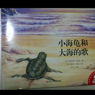 《小海龟和大海的歌》