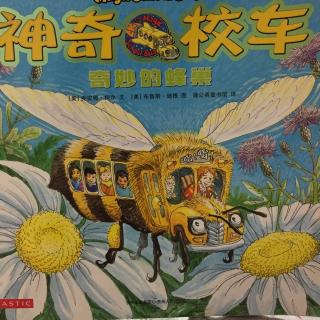 神奇校车-奇妙的蜂巢0112