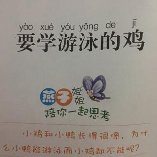 要学游泳的鸡