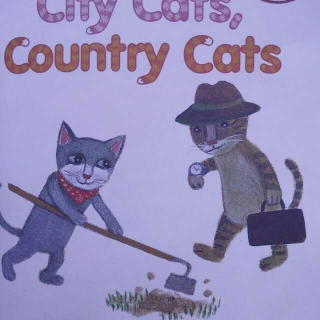 城市猫,乡下猫city cats country cats》