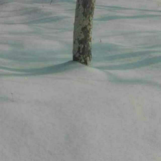 《雪花儿》文似水流年/诵读似水流年