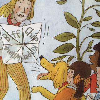 s dd 4-7 finger snapper