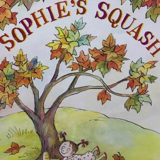 Sophie’s squash