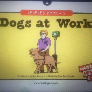 dogs at work 芋头 第一遍