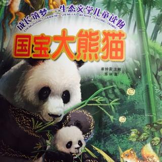 国宝大熊猫～4