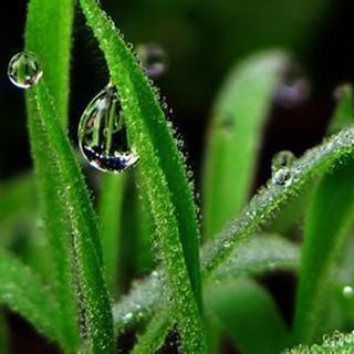 东边晴时西边雨