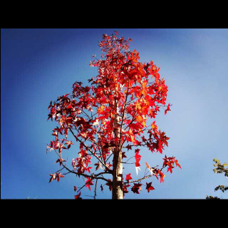 雨还在下你听到了吗?是我的思念滴滴答答