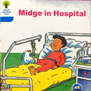 3-25 Midge in hospital