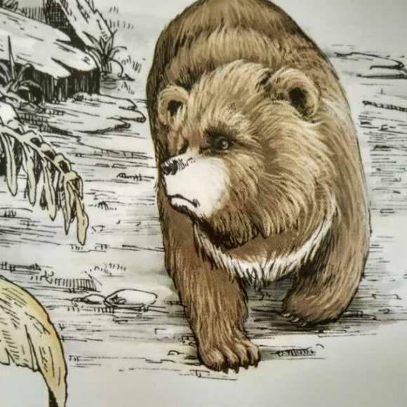 西顿动物记:灰熊瓦普-无依无靠的灰熊宝宝