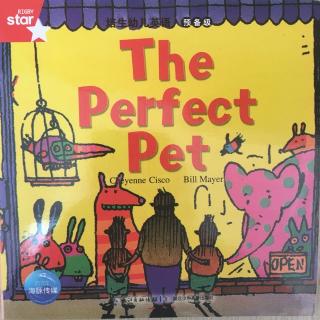 听糖朵妈妈讲绘本——The perfect pet