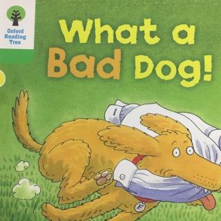 What a bad dog-by Dora