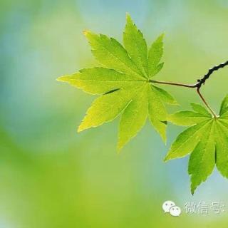 一路走来经验：努力治病会有好结果的