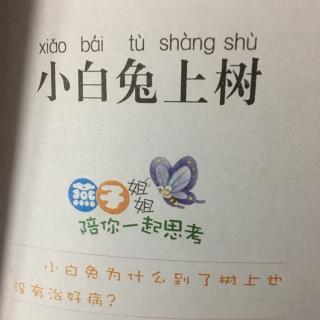 小白兔上树