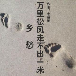 《万里松风走不出一米乡愁》  作者：老藤树