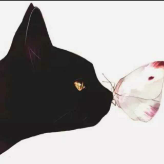 《我是猫》 文/夏目漱石