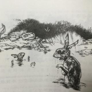 兔子坡4-阿那达斯叔公