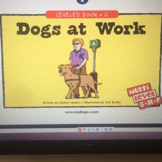 Dogs at work第二遍-芋头