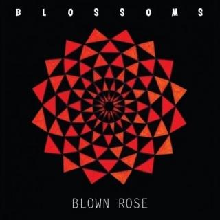  Blown rose