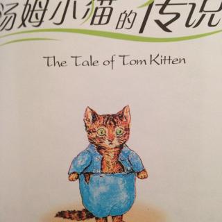 汤姆小猫的传说