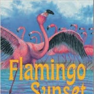 火烈鸟落日 Flamingo Sunset