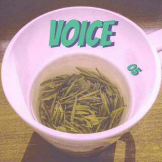 VOICE I 05