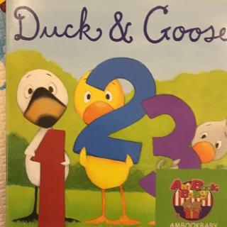 Duck&goose  123