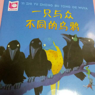 一只与众不同的乌鸦