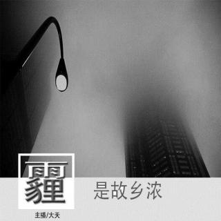 Vol133【静夜思绪】霾是故乡浓-大天