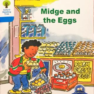 3-28 Midge and the eggs