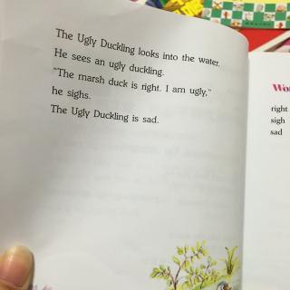 The ulgy ducking2