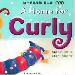 ♪♪有声故事||Curly的家||——一定要把自己的家庭住址牢牢记在心里