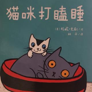 把爱读给你听-猫咪打瞌睡