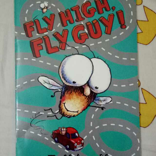 Fly High, Fly guy!