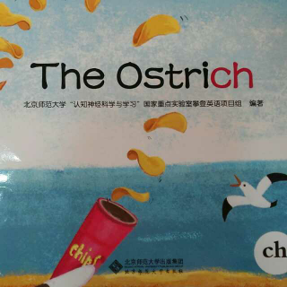 204陈禹竹 The Ostrich