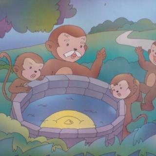 The monkeys drag for the moon.猴子捞月亮