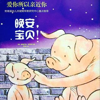 宝宝看世界幼儿性格培养绘本(8) - 晚安，宝贝