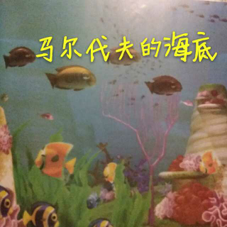 超级飞侠之马尔代夫的海底