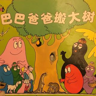巴巴爸爸搬大树-20170118
